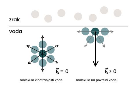 prikaz mesnega sira in njegove sestave