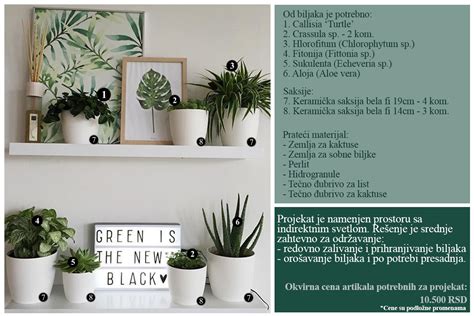 fotografija različnih kozarcev zelenjave Asia Green Garden na polici