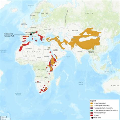 Map showing reintroduction sites and current population spread of Bearded Vultures in the Alps