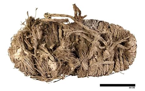 Photo of the 750-year-old sandal found in a Bearded Vulture nest