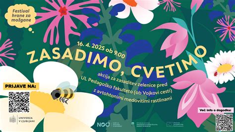 Primer vrta z enostavnimi rastlinami za začetnike