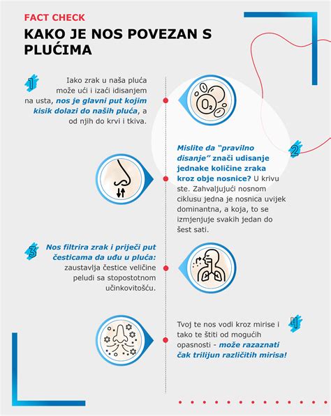 Infografika: Razlika med zdravo papriko in znaki gnilobe (mehki madeži, sprememba barve, plesen)