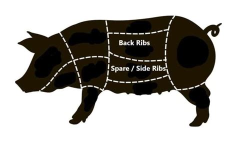Shematski prikaz različnih vrst svinjskih reber (baby back ribs in spare ribs)