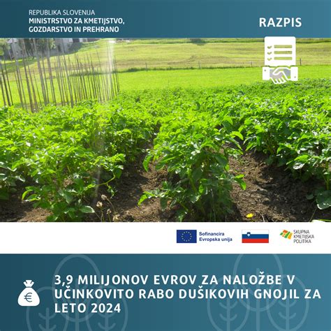 Infografika o sestavi gnojil za jajčevec