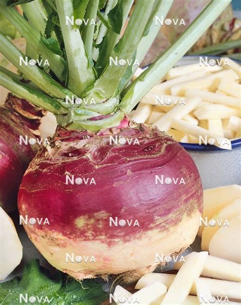 Fotografija kavle (Brassica napus subsp. rapifera) za primerjavo z nadzemno kolerabo