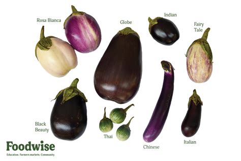 Thematic photo of various types of eggplant pizza