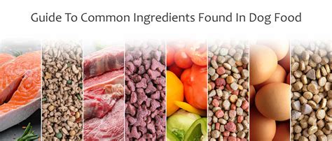 Infographics on the proportions of dog food ingredients
