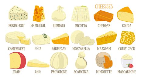 Infographic of various types of Slovenian cheeses