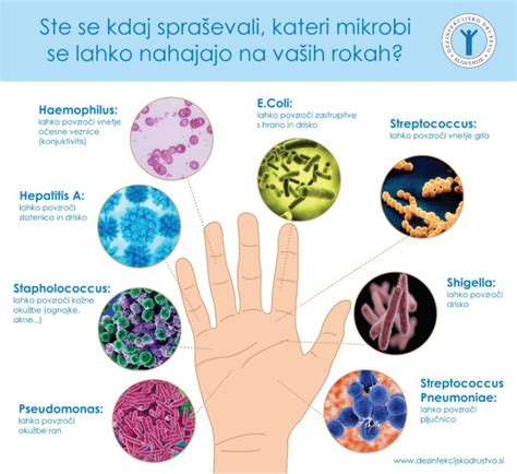 Ilustracija navzkrižne kontaminacije v kuhinji s poudarkom na širjenju bakterij s surovega mesa