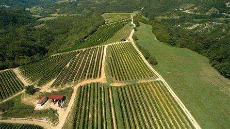 Tematska fotografija Prekmurja s polji in vinogradi