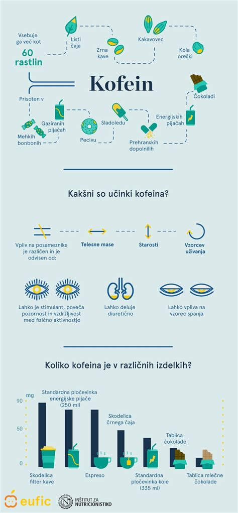 Infografika časovnice razvoja kruha
