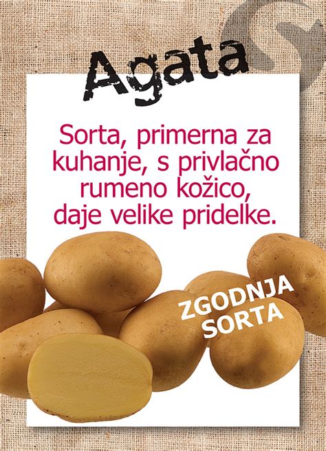 Infografika o vrstah krompirja za juho