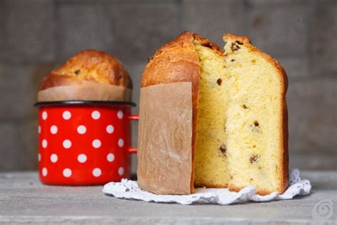 Italijanski božični kruh - Panettone ali podobno