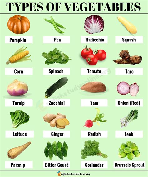 Infographic of different types of vegetables available at the store