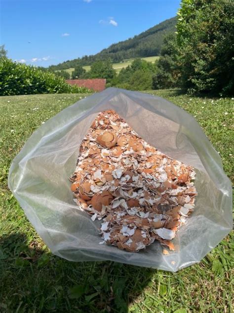Fotografija mase za jajčne žličnike