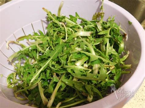 Sveže nabran regrat in posoda s kuhanim fižolom