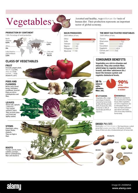 Infographics on the nutritional value of vegetables