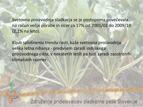 Infografika: rezultati študije o izvedljivosti pridelave sladkorne pese v Sloveniji