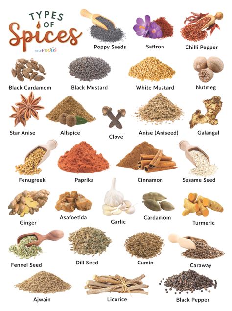 Infographics: Different types of spices for chicken
