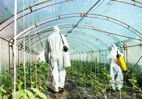 infografika, ki prikazuje, kako pesticidi vplivajo na živčni sistem