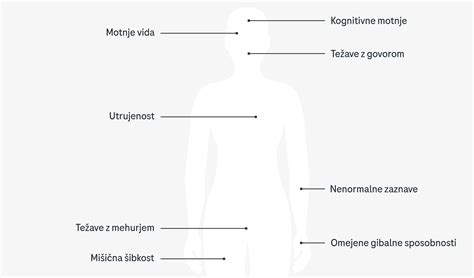 Ilustracija, ki prikazuje priporočeno velikost obroka kostanja.