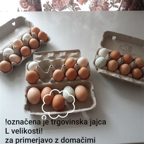 Ilustracija različnih stopenj kuhanosti jajca
