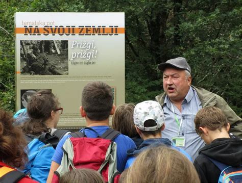 Tematska fotografija bivola na pašniku