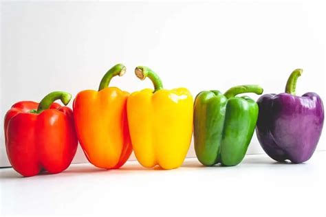 Thematic photo of various types of bell peppers