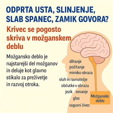 Ilustracija možganov in možganskih valov