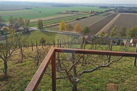 Terasa Okrepčevalnice Skala z razgledom na vinograd in cerkev