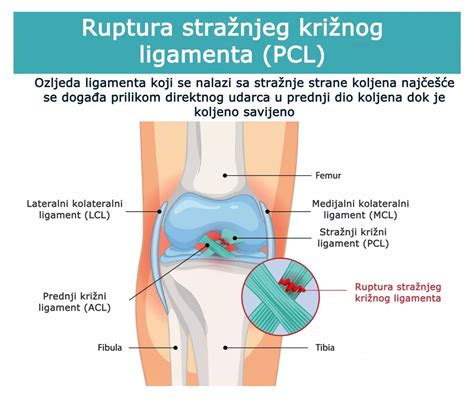 Shematski prikaz ločevanja kože od piščančjega mesa za polnjenje nadeva.