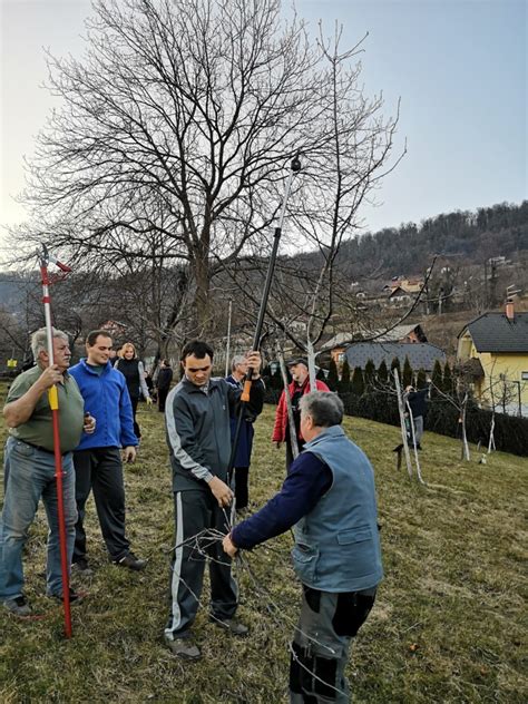 prikaz različnih vrst bureka in pit