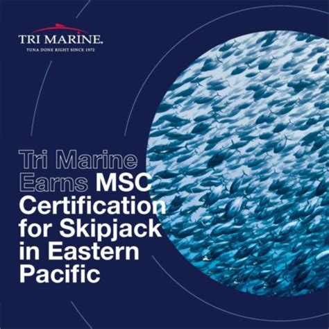 Infographic explaining MSC certification and its logo