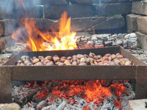 peka kostanja na ognju