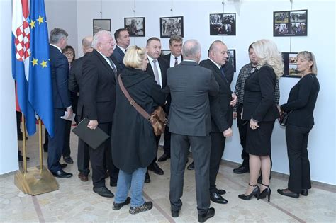 Tematska fotografija škodljivcev na zelju