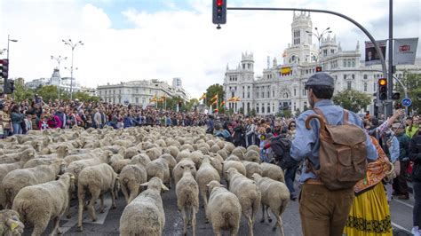 Tematska fotografija mesta Madrid