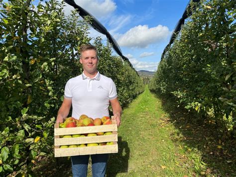 Shematski prikaz idealne lege za nasad orehov z upoštevanjem nadmorske višine in tipa tal
