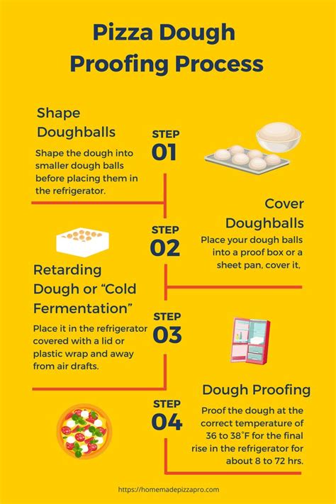 Infographics: Stages of pizza dough preparation and rising