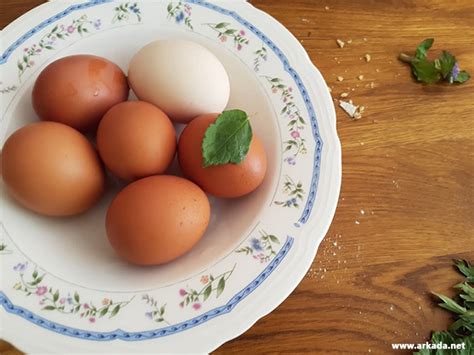 Tematska fotografija piščančjih jajc v različnih barvah in na različnih površinah
