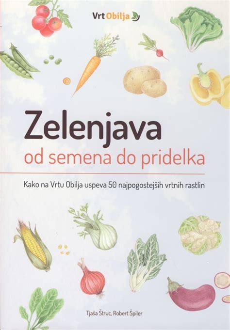shema rasti cvetače od semena do zrele rože