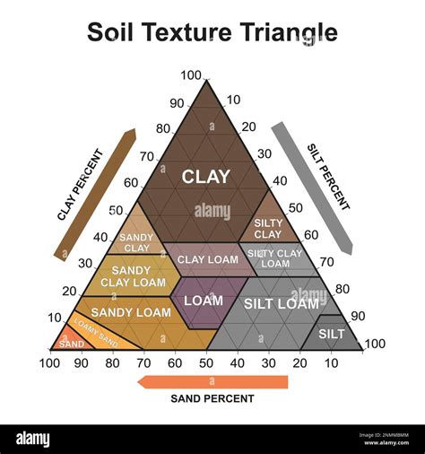 Infographic of how to cut and shape flancati with slits