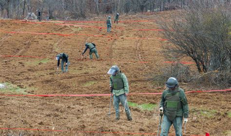 Arhivska fotografija konzerviranega mesa v času vojne