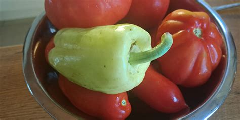Tematska fotografija sveže zelenjave (bučke, paprika, feferoni, por, korenje, paradižnik, dišavnice)