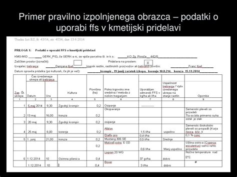 Primer izpolnjenega