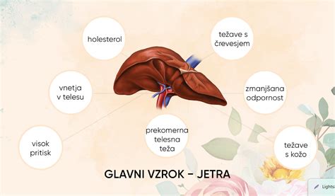 Zgodovinska ilustracija uporabe jeter v kulinariki ali diagram tradicionalnih jedi z jetri