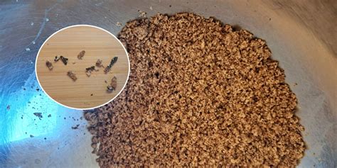 Fotografija sestavin za orehov nadev v skledah