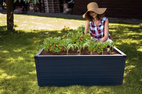 Primer zelenjavne grede s senco, ki jo nudijo visoke rastline, idealne za setev jesenskih vrtnin.