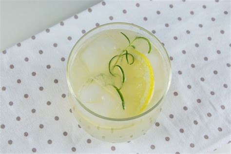 Fotografija kozarca bezgovega sirupa z rezinami limone in meto