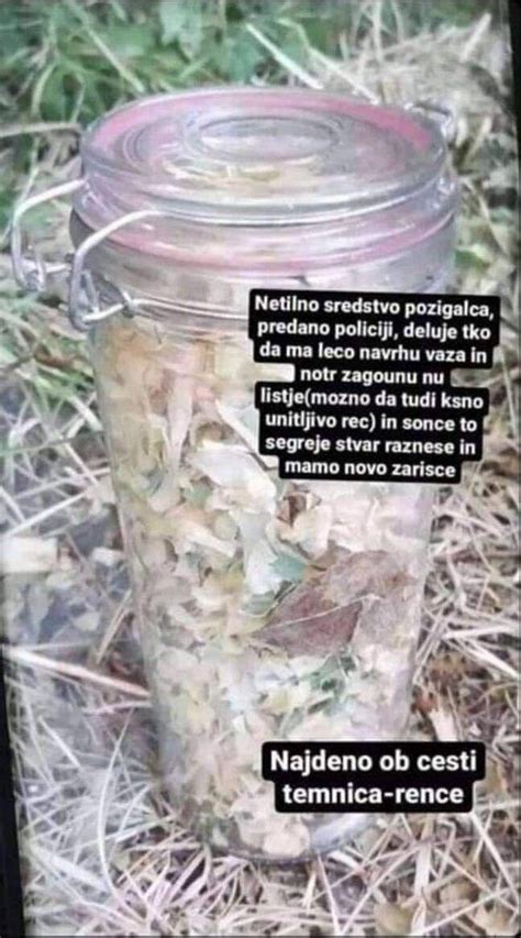 Fotografija kozarca bezgovo-metinega sirupa z metinimi listi