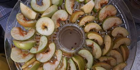 proces sušenja jabolčnih krhljev v sušilcu